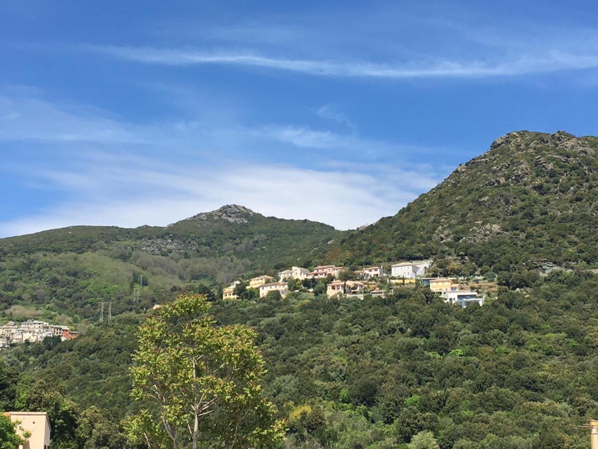 Charmant T2 Hauteurs De Bastia Бастія Екстер'єр фото